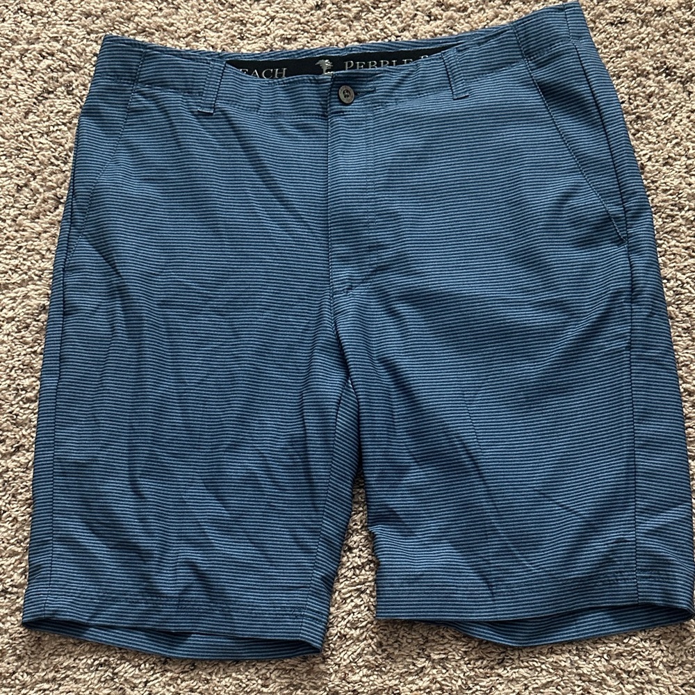 Men's Navy Striped Shorts